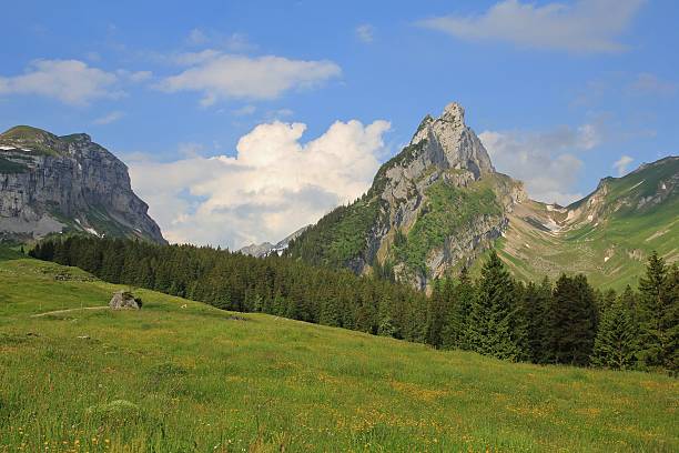 istock Mountain of the Alpstein Range in summer 543826412