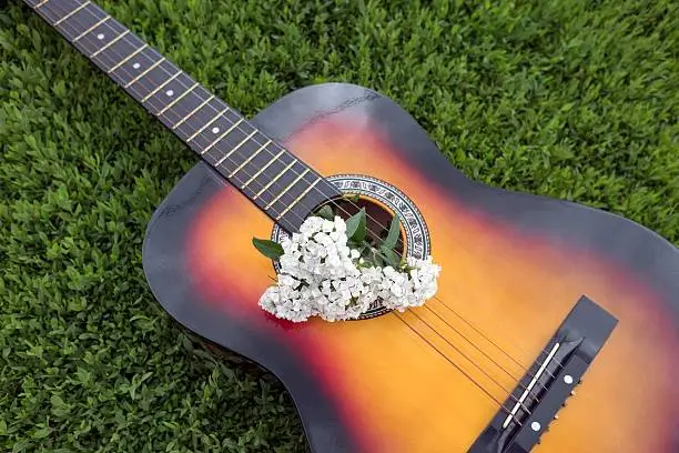 Photo of Acoustic guitar in the green grass