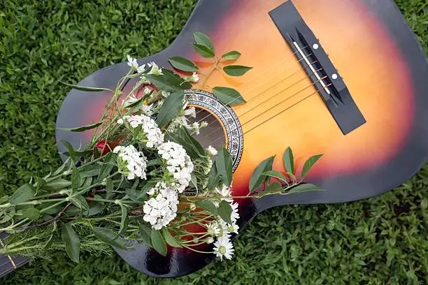 Photo of Acoustic guitar in the green grass