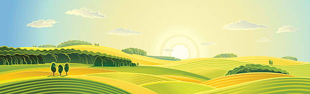 ilustraciones, imágenes clip art, dibujos animados e iconos de stock de paisaje rural de verano. - field landscape