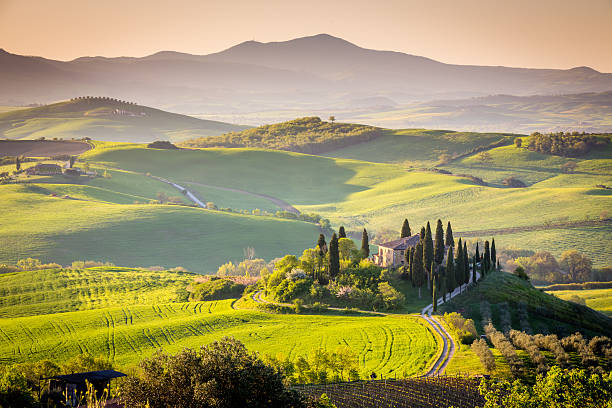 istock Peaceful morning in Tuscany, Italy 543828528