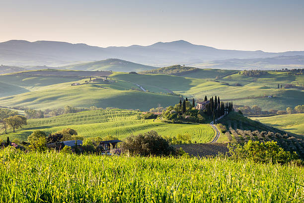 istock Peaceful morning in Tuscany, Italy 543828578