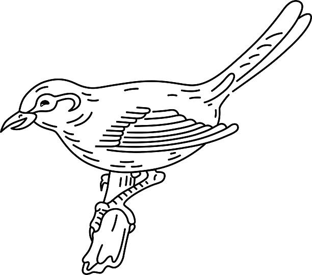 ilustrações, clipart, desenhos animados e ícones de pássaro sentado em um tronco - branch bird flying pets