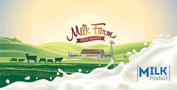 illustrations, cliparts, dessins animés et icônes de paysage rural et splash de lait. - lait