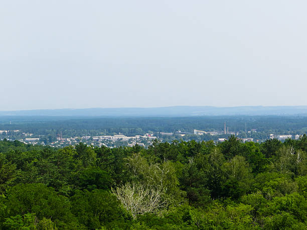 istock Summer landscape with green trees 543829446