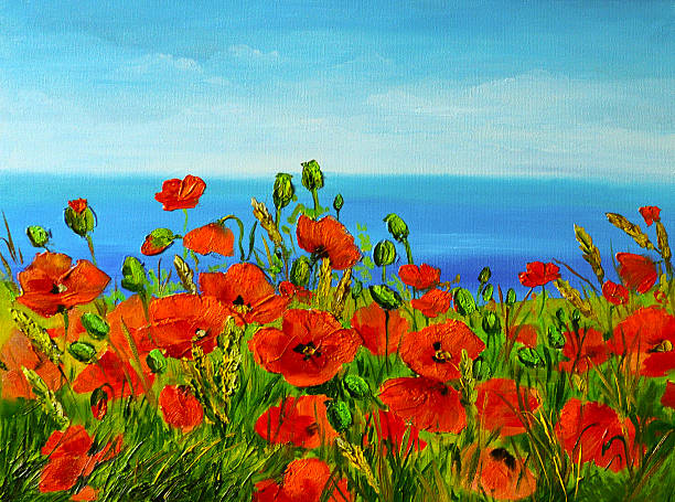 mohnfeld in der nähe des meeres, bunte küste, kunst ölgemälde - landscape nature poppy field stock-fotos und bilder