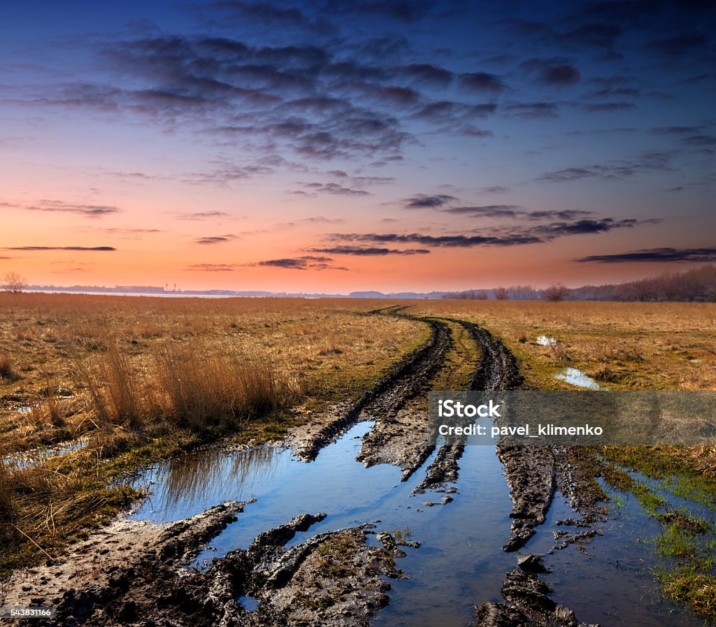 dirt road in spring steppe after rain dirt road in spring steppe after rain against sunset Mud Stock Photo