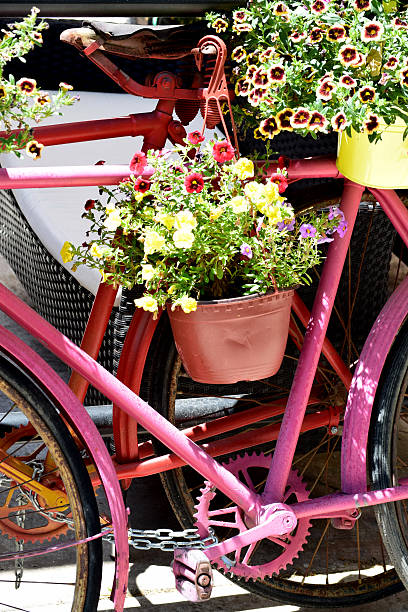 istock Flower basket on the old bicycle 543831812