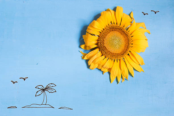 summer or beach idea, a sun - sunflower and island with palm tree in the ocean