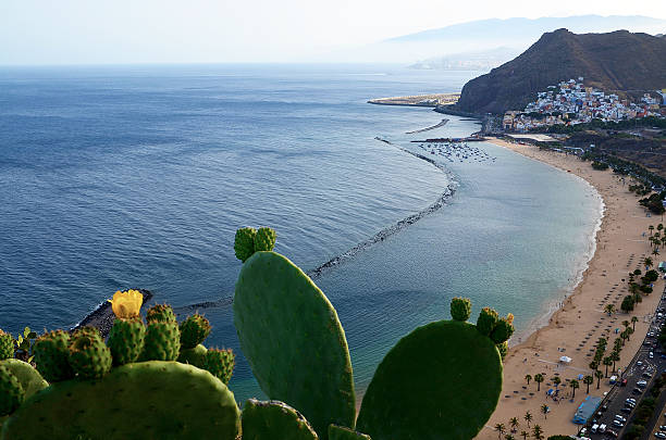 istock Las Teresitas beach, Tenerife,Canary Islands. 543833088