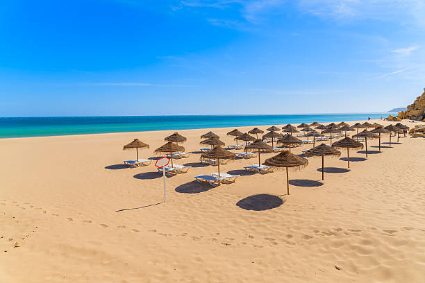 istock Sunbeds with umbrellas on sandy beach 543833598