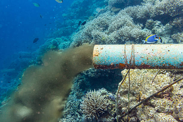 tubería de alcantarillado submarino - desmovilización fotografías e imágenes de stock