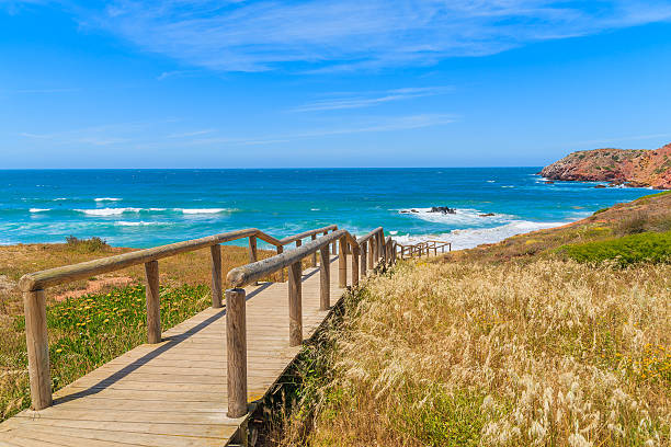 istock Walkway to Praia do Amado beach 543834386