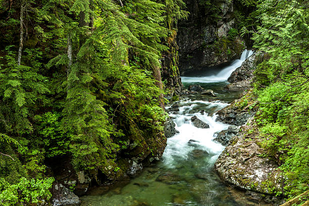 istock Small falls in Snoqualmie area. 543834546