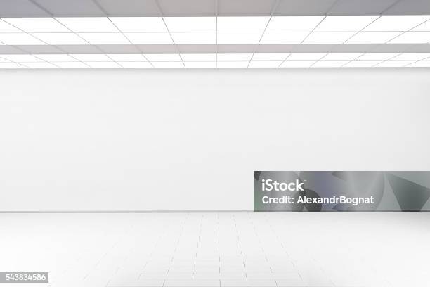 Empty Big Hall Wall Mockup Nobody 3d Rendering Stock Photo - Download Image Now - Wall - Building Feature, Art Museum, Blank