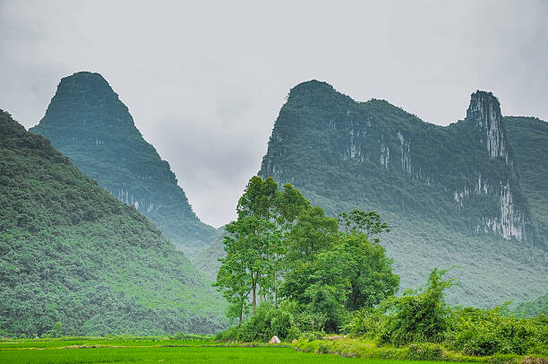 istock Beautiful Karst rural scenery in spring 543836016