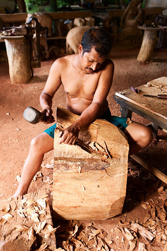 Sri Lankan man carving a wood sculpture of an elephant at workshop near Kandy, Sri Lanka.