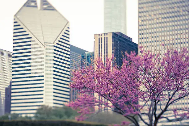 Photo of Toned and slightly blurred buildings in downtown Chicago