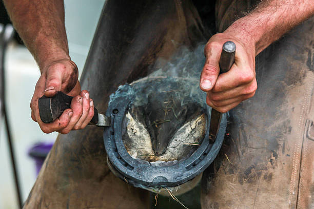 istock Black smith smithing horse shoe 543839426
