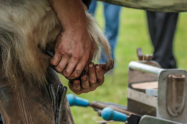 istock Black smith smithing horse shoe 543839864