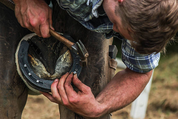 istock Black smith smithing horse shoe 543839984