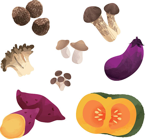 ilustraciones, imágenes clip art, dibujos animados e iconos de stock de japonés en otoño verduras - raw potato sweet potato vegetable food