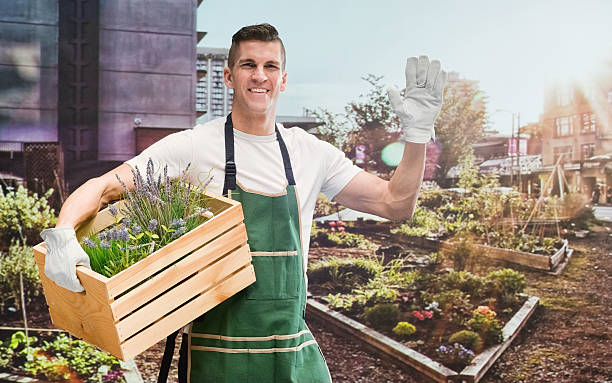 istock Smiling gardener waving hand in garden 543840748