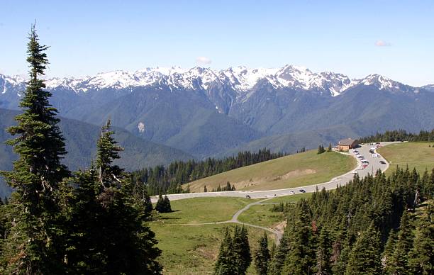 istock Panoramic View Of Olympic National Park From Hurricane Ridge 543842240