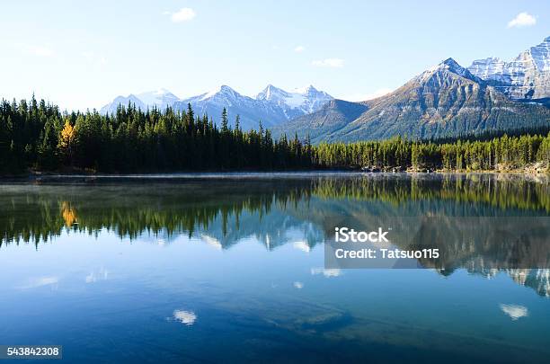 Herbert Lake In Autumn Morning Canadian Rockies Stock Photo - Download Image Now