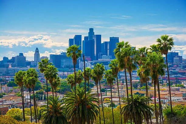 Aerial / elevated view of Downtown Los Angeles, backlit / silhouette-like with many lush vivid green palm trees and a blue sky with dramatic clouds.