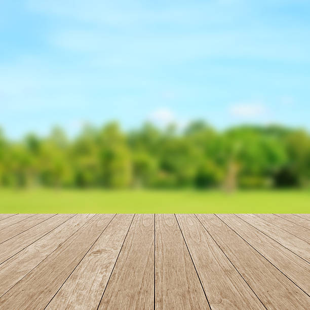istock Wooden empty table with natural green background 543843210