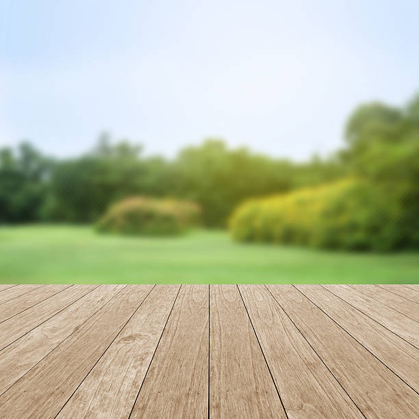 istock Wooden empty table with natural green background 543843246