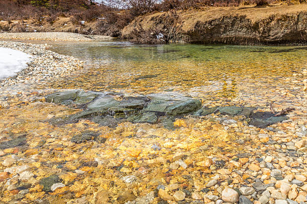 istock Clear water in the roar 543977066