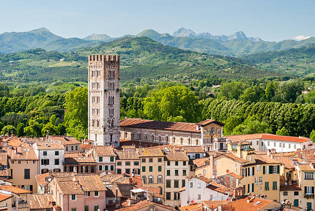 Aerial view of Lucca (Tuscany, Italy) during a sunny afternoon Aerial view of Lucca, in Tuscany, during a sunny afternoon; the bell tower belongs to the San Frediano church lucca stock pictures, royalty-free photos & images