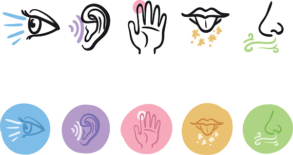 hand drawn icon set of the five senses