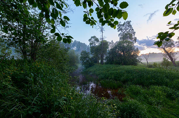 istock Landscape wild dark night mysterious forest river thick fog sunset 543978640