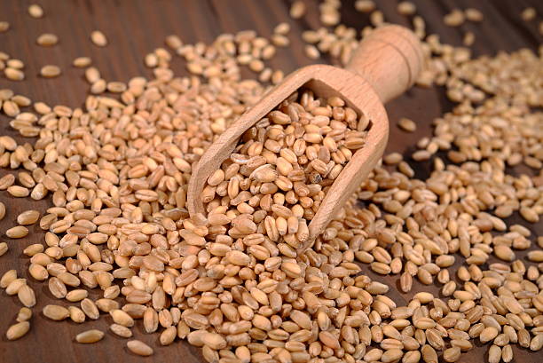 istock Heap of wheat and bailer 543979632