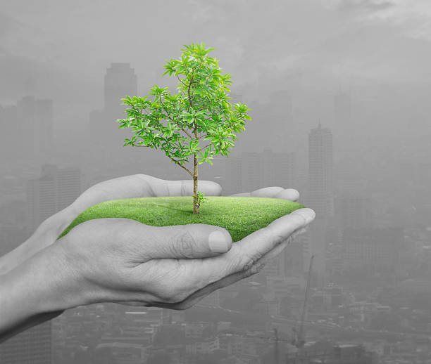 istock Growing green tree in hands over pollution city, Environment concept 543979868