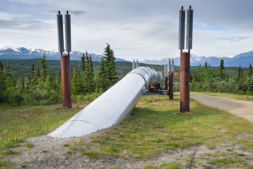 Trans Alaska Pipeline Close Up Emerging from Underground with Landscape