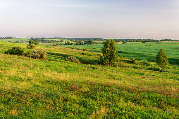 istock Summer rural landscape at sunset 543983396