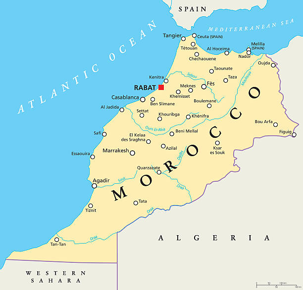 stockillustraties, clipart, cartoons en iconen met morocco political map - morocco
