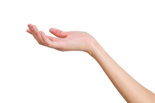 istock Woman hand holding something empty front side isolated white background. 543984514