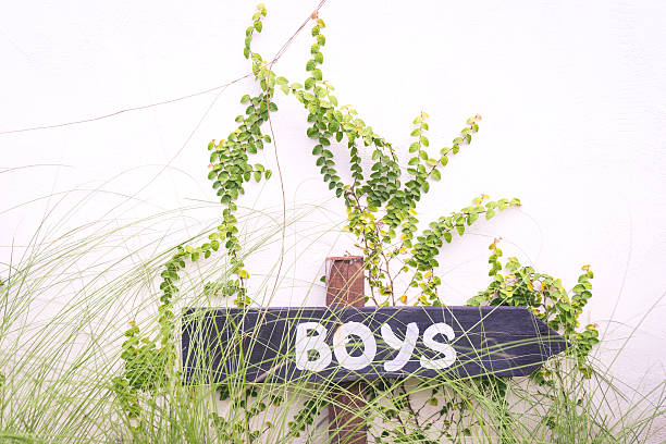 istock Boys text on arrow sign pointing left for toilet bathroom. 543985624
