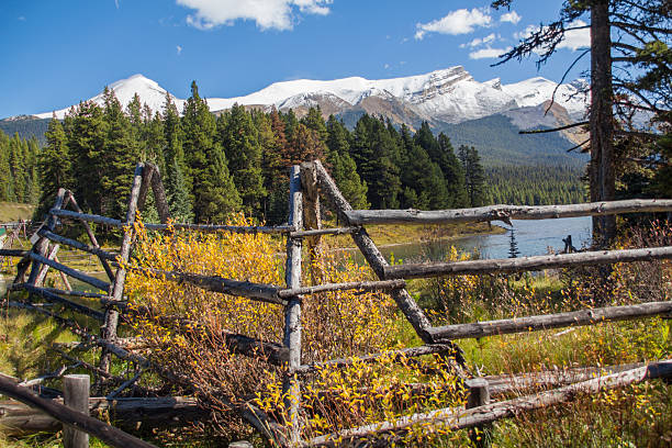 verano del lago maligne, alberta, canadá - scerene fotografías e imágenes de stock