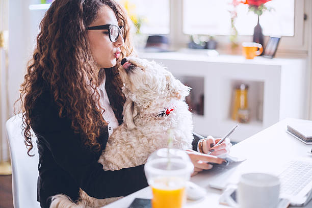 istock Gimme a kiss! 543986710