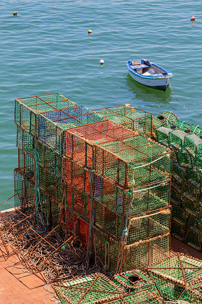 istock square green crab traps in marine 543987122