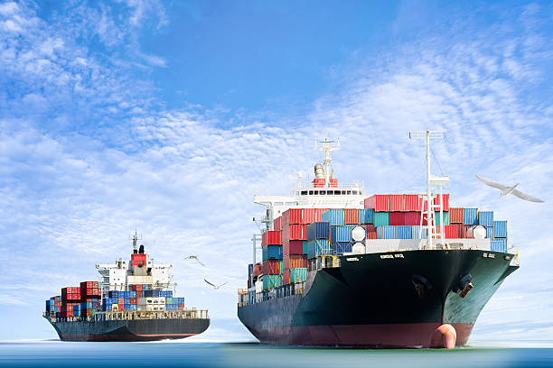 container cargo ship in the ocean with birds flying - container ship stockfoto's en -beelden