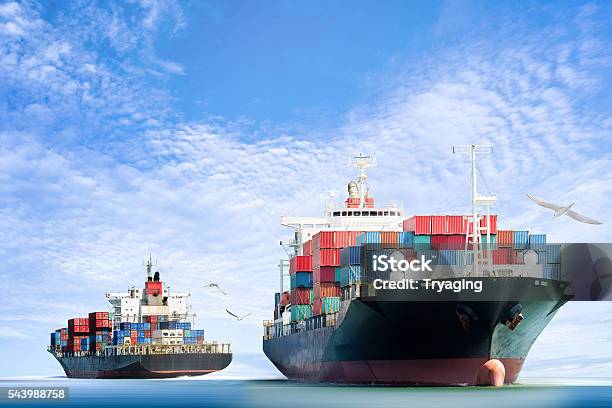 Container Cargo Ship In The Ocean With Birds Flying Stock Photo - Download Image Now