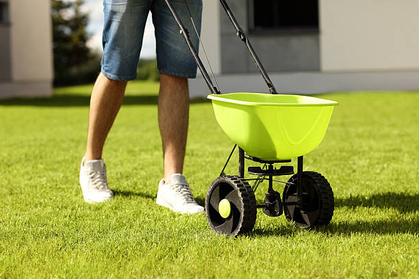 Man with seeder Picture of young man seeding grass in the backyard lawn seeder stock pictures, royalty-free photos & images