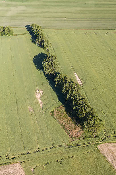 istock aerial view of the  harvest fields 543992018